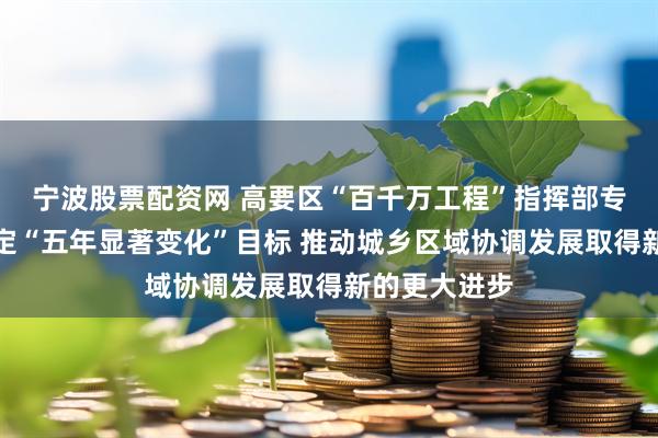宁波股票配资网 高要区“百千万工程”指挥部专题会议：锚定“五年显著变化”目标 推动城乡区域协调发展取得新的更大进步
